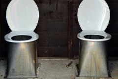 Toilets-Sanders-Park